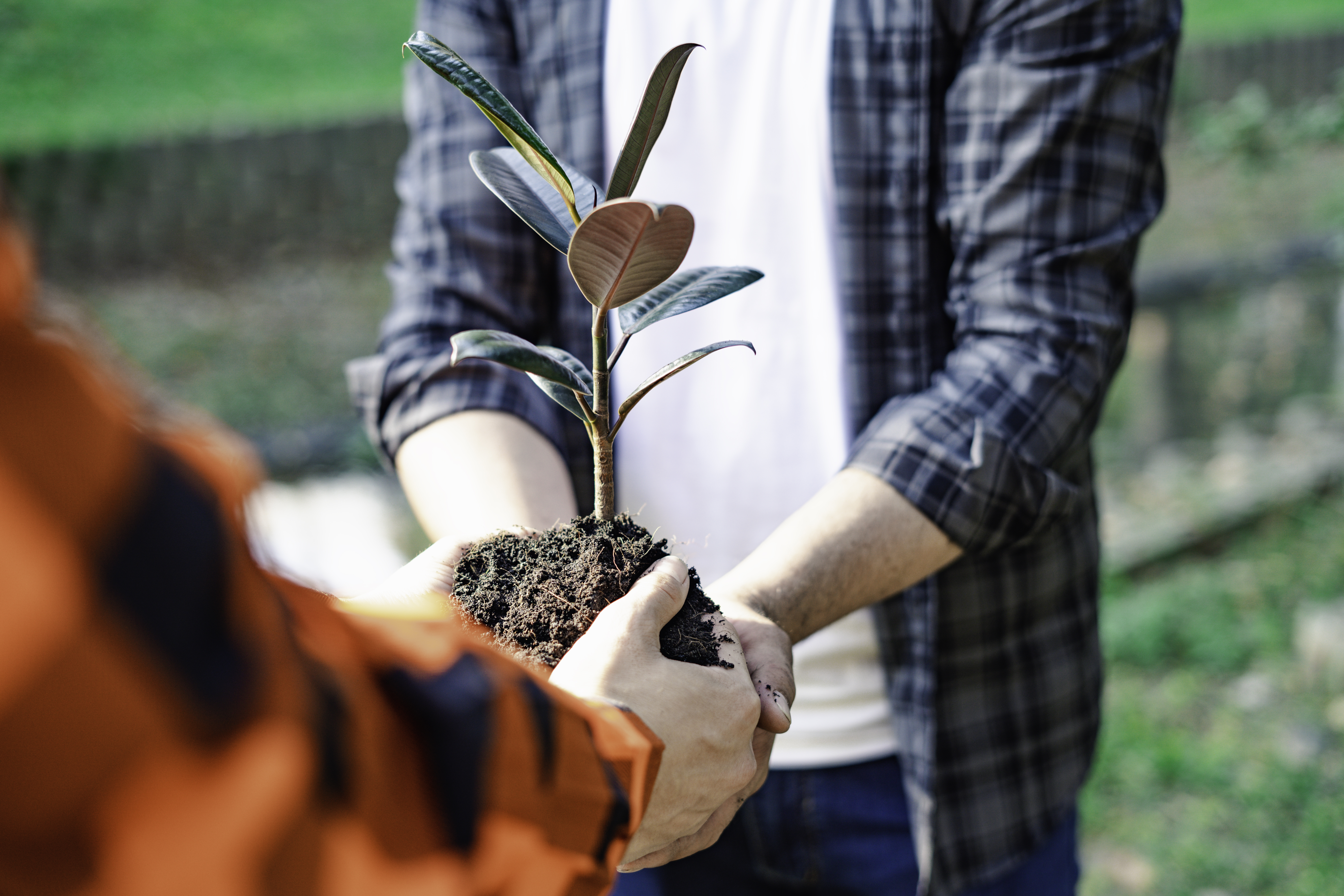 Stratejik Proje Yönetimi